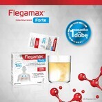 Flegamax Forte 2,7 g, 6 bustine