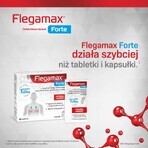 Flegamax Forte 2,7 g, 6 bustine