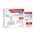 Flegamax Forte 2,7 g, 6 bustine