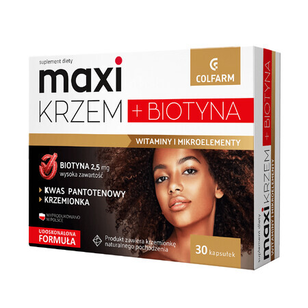 Maxi Silizium + Biotin, 30 Kapseln