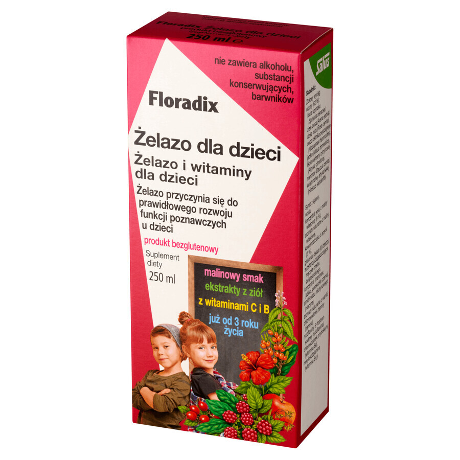 Floradix Eisen für Kinder ab 3 Jahren, 250 ml