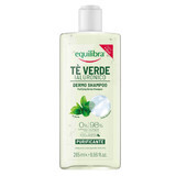 Equilibra Dermo, reinigendes Shampoo, grüner Tee und Hyaluronsäure, 265 ml