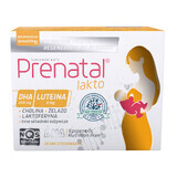 Prenatal Lakto, 30 Hartkapseln + 30 Weichkapseln