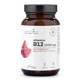 Aura Herbals Vitamin B12, Methylcobalamin 1000 µg, 90 Kapseln