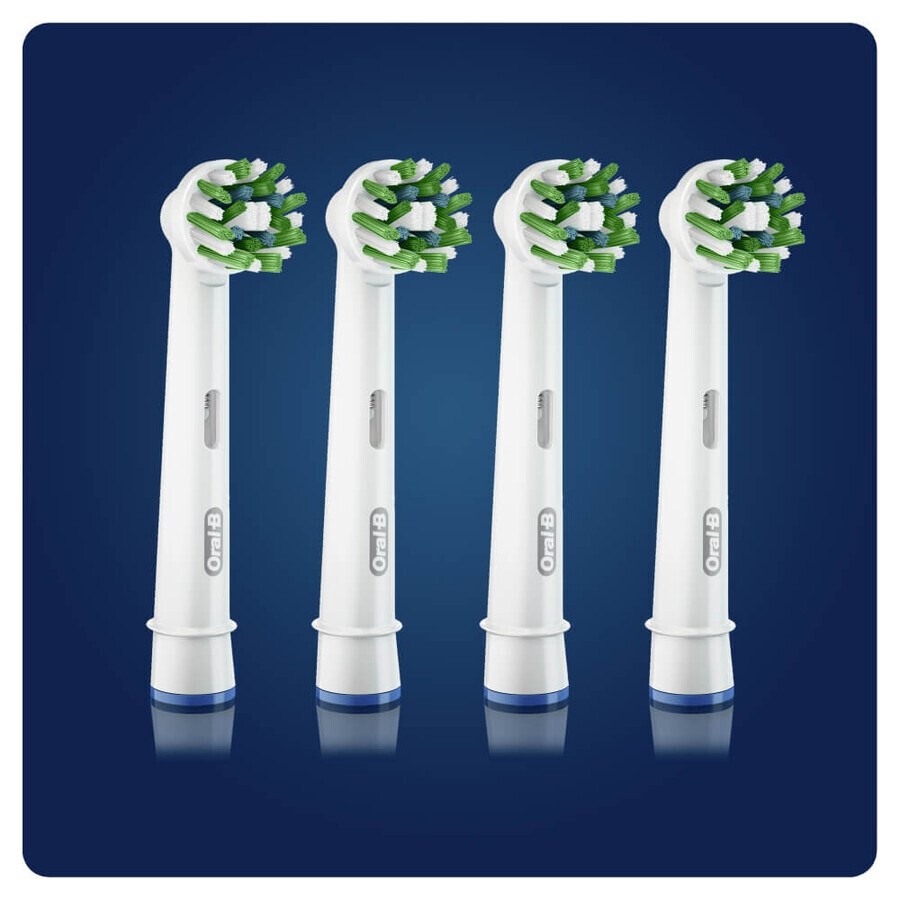 Oral-B Cross Action, Ersatzaufsätze für elektrische Zahnbürste Clean Maximiser, EB50-4, 4 Stück