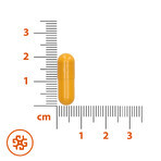 SEMA Lab Vitamin C 1000 mg, 10 Zellulosekapseln