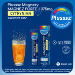 Plusssz Magnesium Forte Citrat, Orangen-Maracuja-Geschmack, 24 Brausetabletten