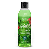 Barwa Natural, Kaktusshampoo für trockenes und normales Haar, feuchtigkeitsspendend, 300 ml