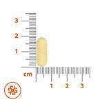 SEMA Lab Na Trawienie, 30 comprimate filmate