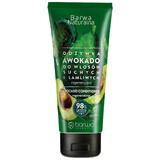 Barwa Natural, Avocado-Spülung für sprödes, trockenes und geschädigtes Haar, regenerierend, 200 ml