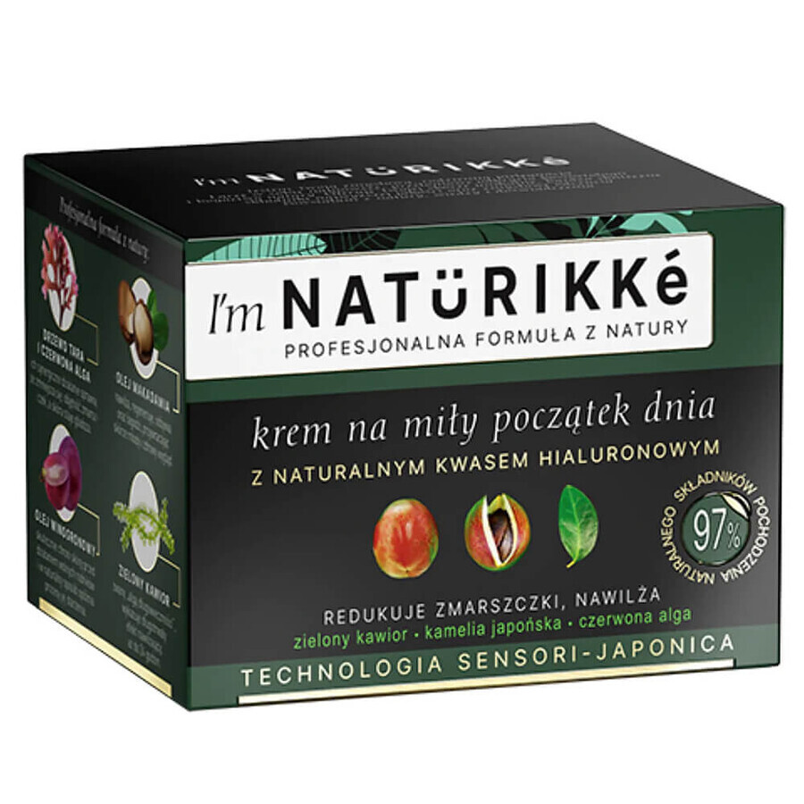 Naturikke, crema di inizio giornata con acido ialuronico naturale, antirughe, idratante, 50 ml