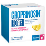 Groprinosin Forte 1000 mg, Granulat zum Einnehmen, 10 Portionsbeutel