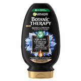 Garnier Botanic Therapy, balancing conditioner for dry hair and oily scalp, activated carbon, 200 ml