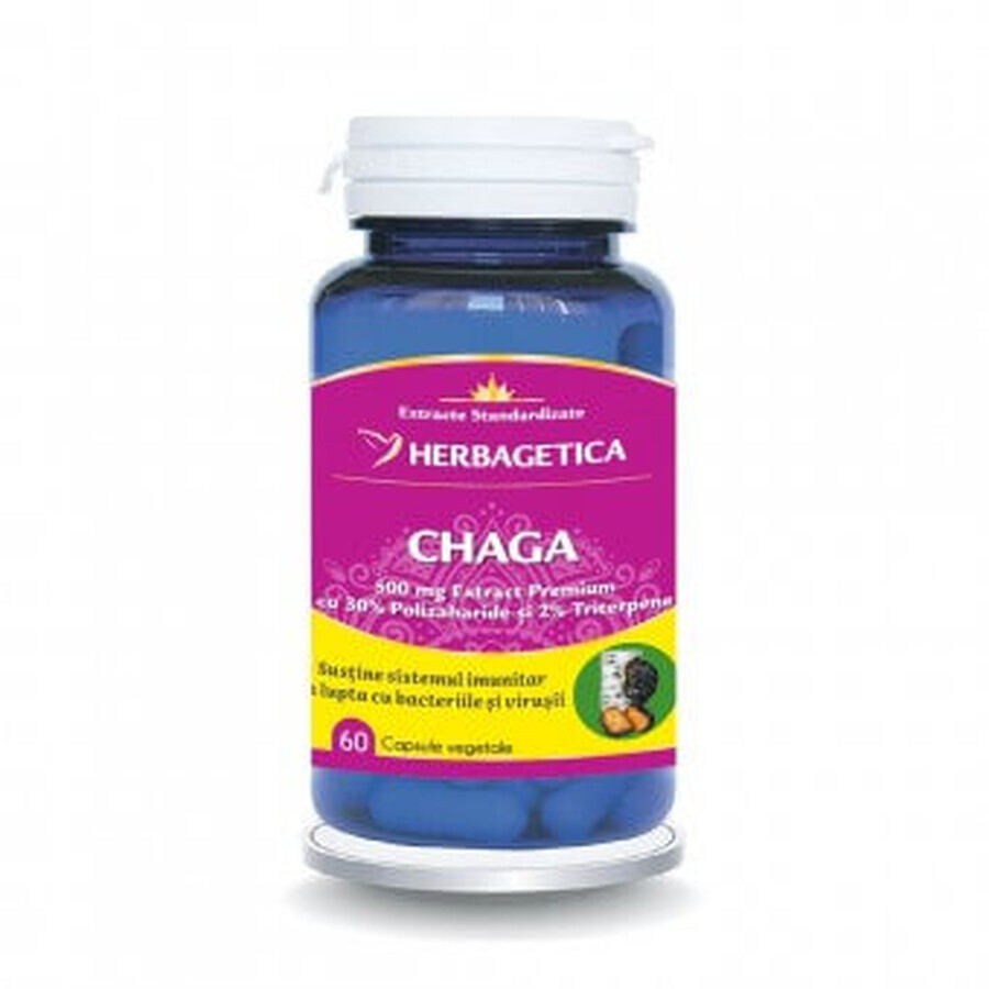 Herbagetica Chaga x 60 cps