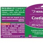 Herbagetica Cretisoara Frauenmantel x 60 Stück