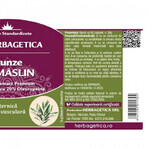 Herbagetica Olivenblätter x 60 Stück