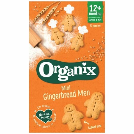 Mini-Bio-Ingwer-Kekse 12 Monate+, 5x20 g, Organix