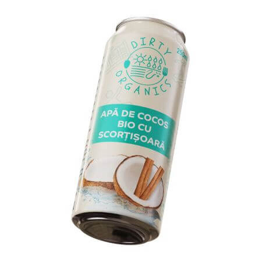 Organic coconut water with cinnamon, 250 ml, Dirty Organics