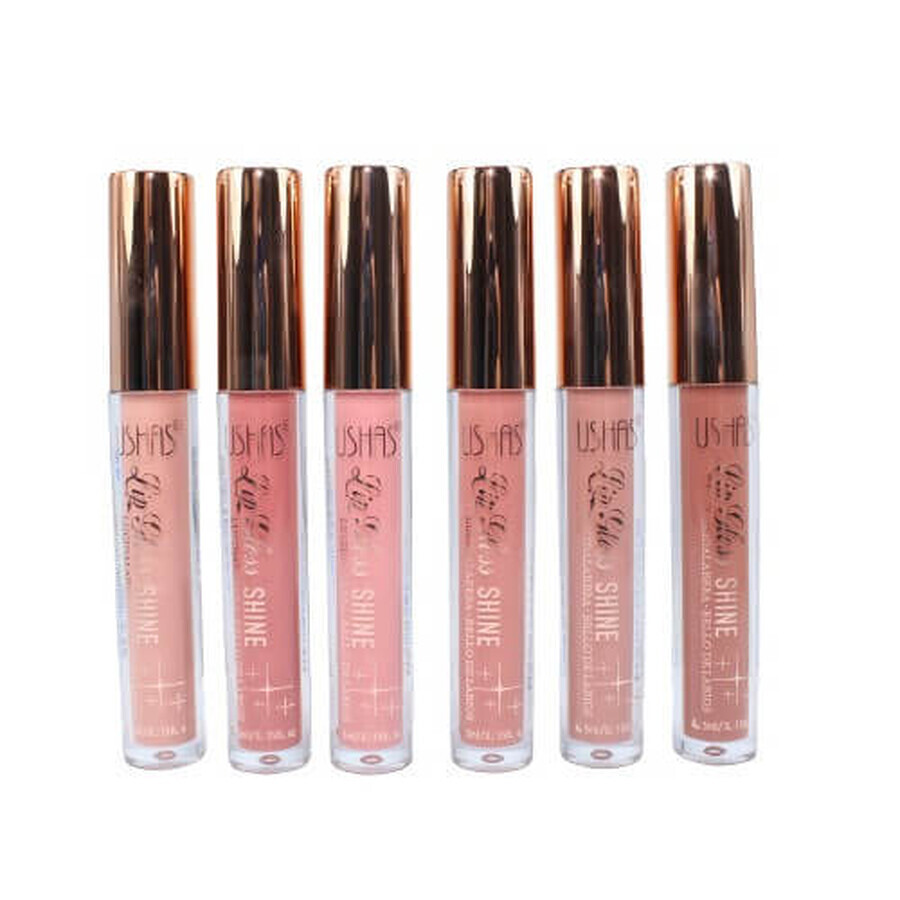 Set di 6 lucidalabbra, Ushas, Shine Lip Gloss, 04