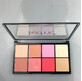 Technic Tropical Paradise Blush Blush Highlight Highlight Palette