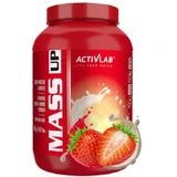 Masse Up-Erdbeeren, 2000g