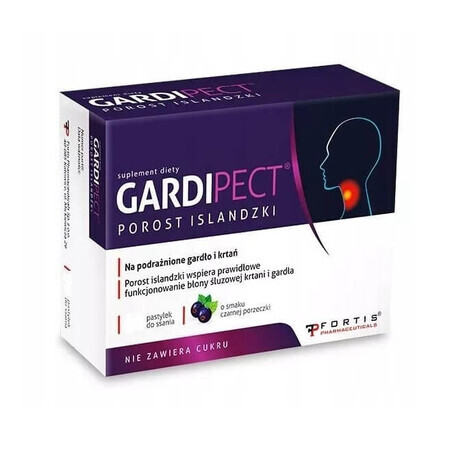 Gardipect Icelander al gusto di ribes nero, 24 compresse