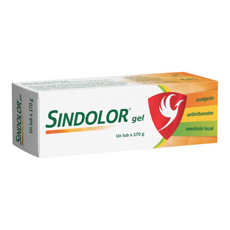 Sindolor Gel, 170 g, Fiterman