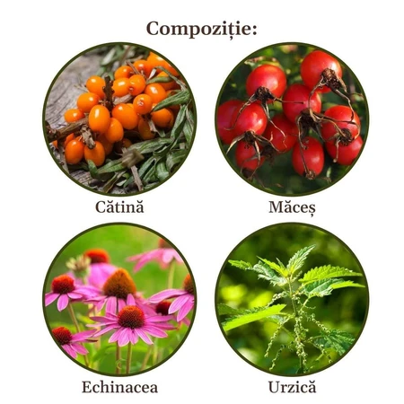 Vitaminizantus Sirup, 200 ml, Faunus Plant