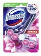 Domestos, Muschelaufh&#228;ngung, Magnolie, 1 St&#252;ck