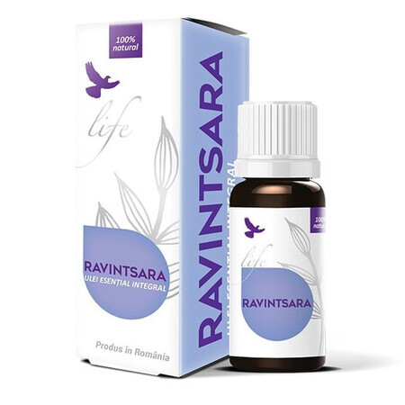 Ganzes ätherisches Öl von ravintsara, 10 ml, Bionovativ