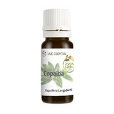 Copaiba ätherisches Öl, 10 ml, Aghoras