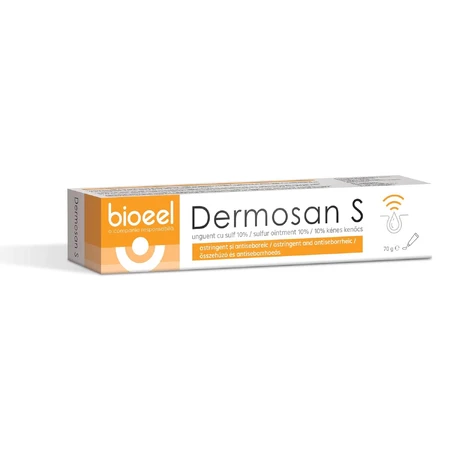 Schwefelsalbe 10 % Dermosan S, 70 g, Bioeel