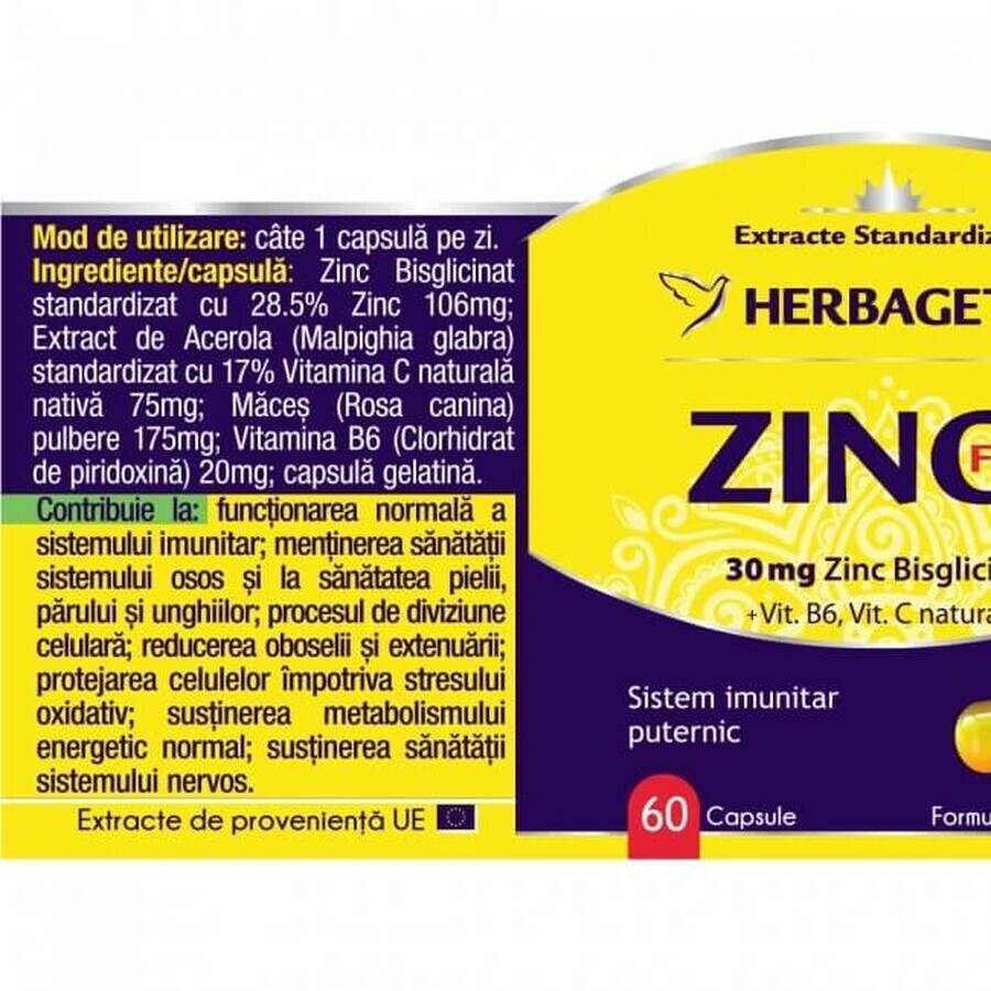 Zink Forte, 60 Kapseln, Herbagetica