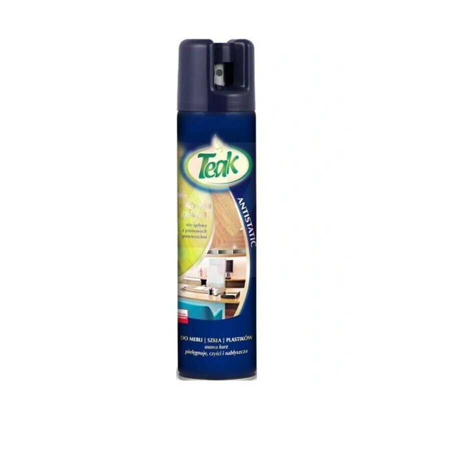 Teak-Möbelschaum, 300 ml