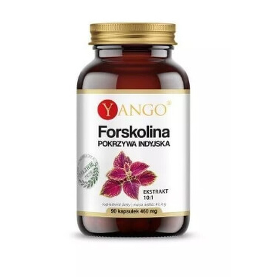 Yango, Forskolin, 90 Kapseln