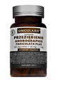 Singularis Przezibienie Andrographis Paniculata Plus 350mg (15%) + 30mg + 2mg, 60 Kapseln