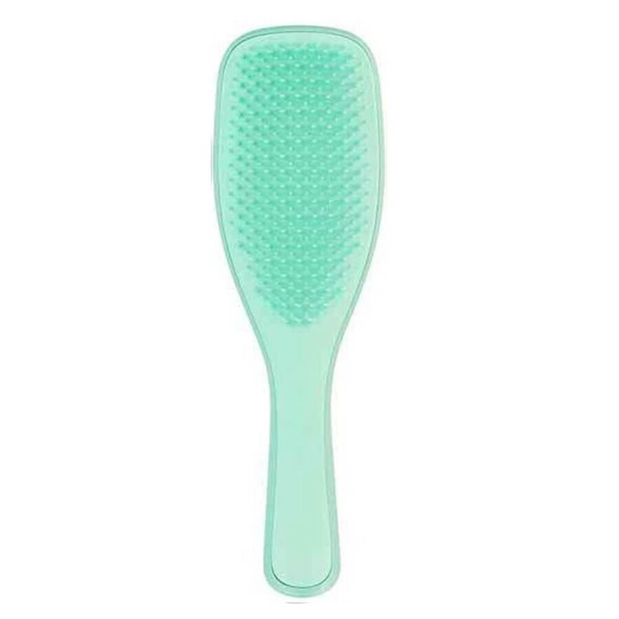 Tangle Teezer The Wet Detangling The Wet Detangling Fine amp; Fragile Hair Brush Mint