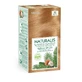 Ammonia-free vegan hair dye, Golden Light Blonde 9.3, Naturalis, Neva, 150 ml