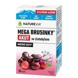 SWISS NATUREVIA MEGA CRANBERRY MEGA CRANBERRY ACUT MIT GOLDRUTE