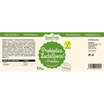 GreenFood Nutrition Probiotic LactoSpore® Probiotika + Präbiotika 60 Kapseln