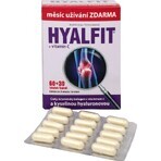 Hyalfit + vitamine C 90 capsules