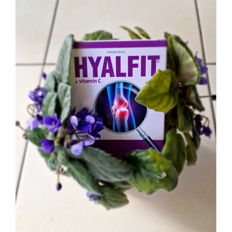 Hyalfit + vitamine C 90 capsules