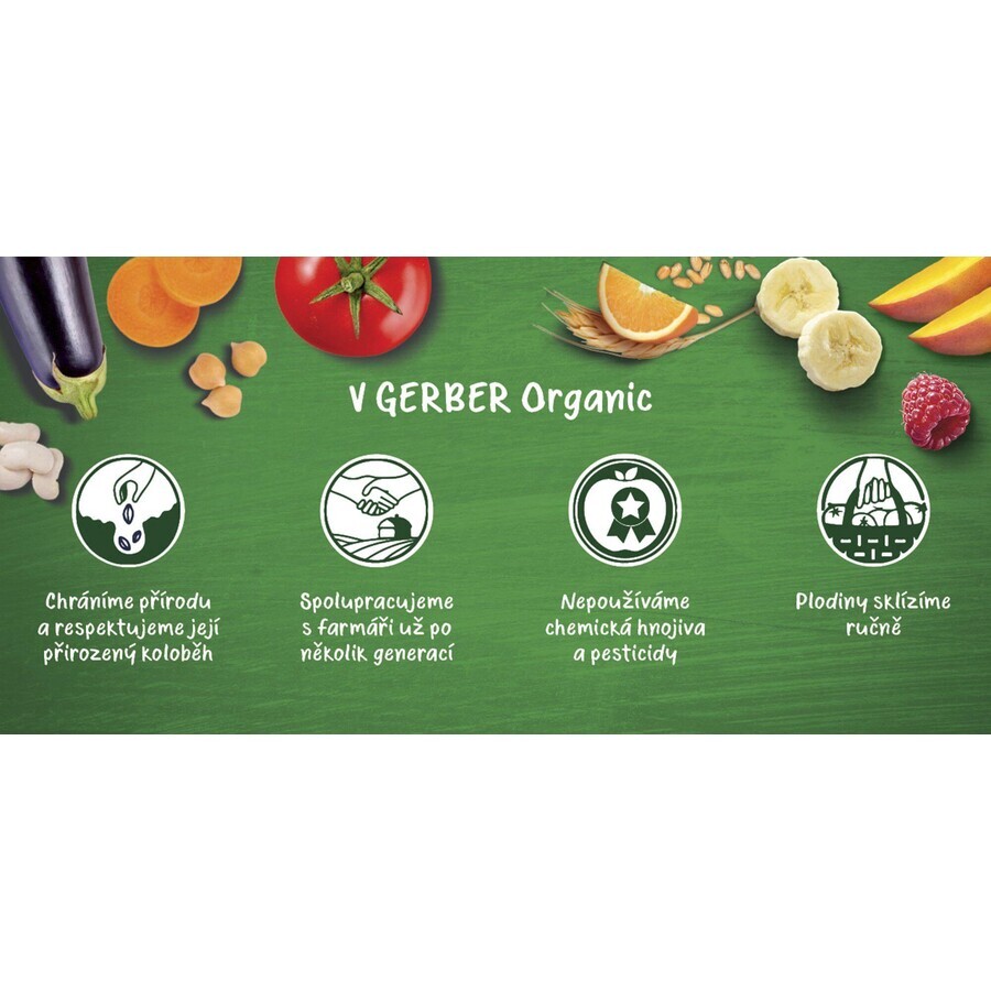 Gerber Organic Bag with apples, bananas, blueberries and blackberries 100% BIO 6m+ 16 x 90 g