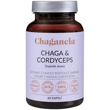 Chaganela Chaga Extrakt mit Cordyceps 60 Kapseln