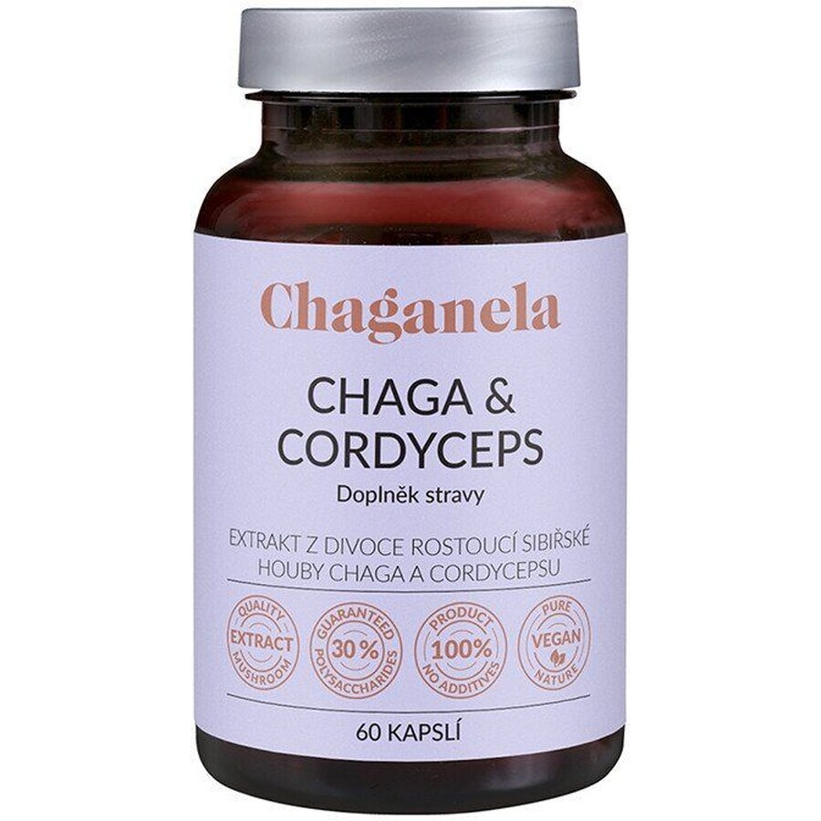 Chaganela Chaga Extrakt mit Cordyceps 60 Kapseln