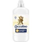 Coccolino Sensitive pure Alm & Cash Waschmittel 1,27 l