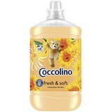 Coccolino Orange rush Waschmittel 1,7 l