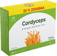 Aporosa Cordyceps 350 mg 60 Kapseln