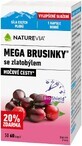 NatureVia Mega Heidelbeeren mit Goldrute 60 St&#252;ck