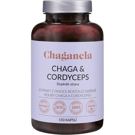 Chaganela Extrait de Chaga avec Cordyceps 150 gélules